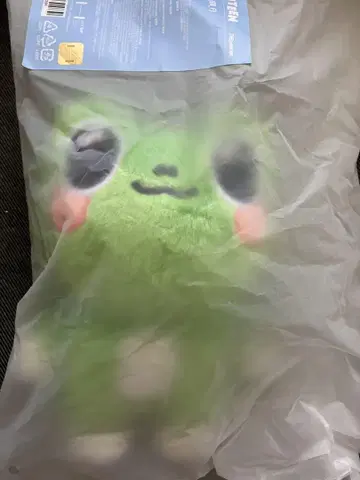 SEVENTEEN 미니틴 디에이트 플러시 토이