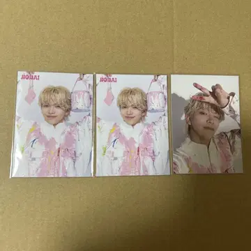야마다 코타로 포토 카드 시크릿