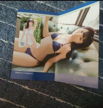 g 요시키 리사 QUO 카드 기사용 케이스 포함