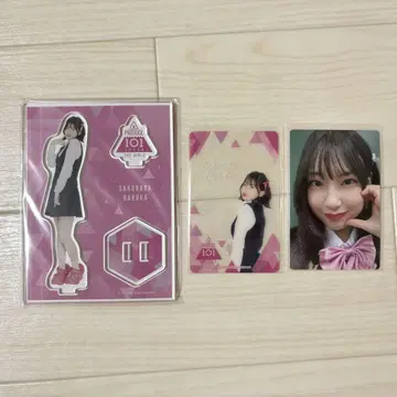 사쿠라바 하야카나 일일
