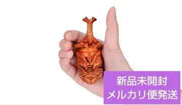 생물대도감 가부토무시 07 야마토가부토무시(번데기)