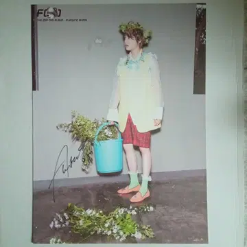 한국 f(x) 앰버 친필 사인 포스터 Electric Shock