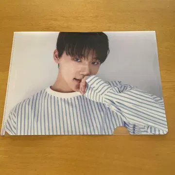 24시간 이내 발송 SEVENTEEN 디노 CARAT 클리어 파일 A4