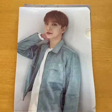 24시간 이내 발송 SEVENTEEN 지스 조안 CARAT 파일 A4
