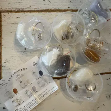 오늘 발송 우리 아이의 케다마다 정품 컴프 6종 세트