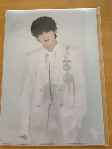SEVENTEEN S.Coups 클리어 파일
