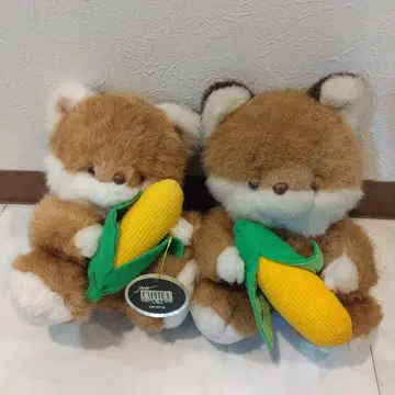 오오이케 옥수수 콘 여우 혀를 내밀고