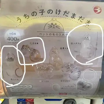 우리 집 고양이, 하치와레 고양이, 삼색 고양이, 샴 고양이