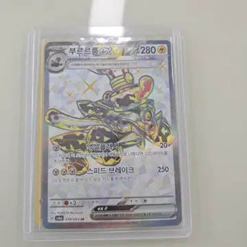 부르르룸 ex sr