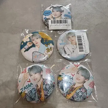 팬더 드래곤 타이 캔뱃지 5개 세트