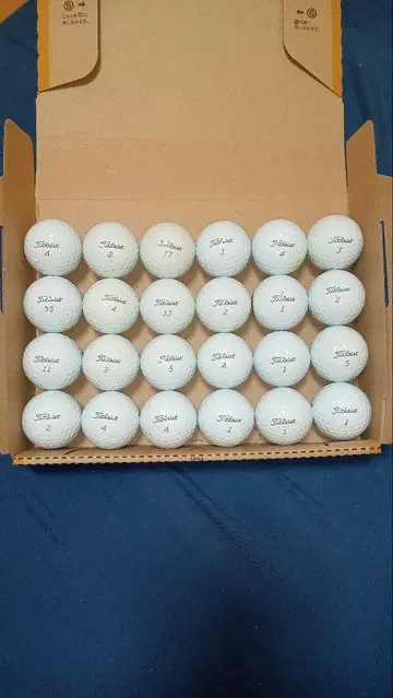 타이틀리스트 PROv1x 로스트 공 24개