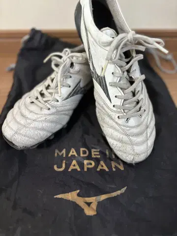 Mizuno 모렐리아 네오 4