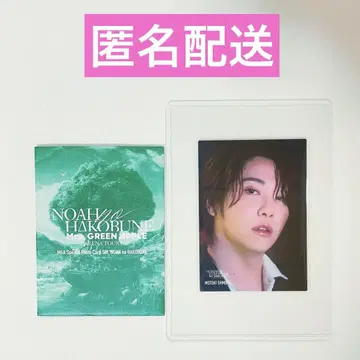 미스 그린 애플 노아 041