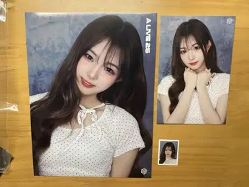 tripleS A Live 25 서울 한정 하영 엽서 세트