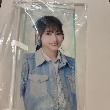 노이미 카니사와 모에코 미니 노보리