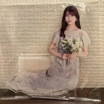 이와모토 렌카 NOGI 메쿠리 S상 BIG 아크릴 스탠드