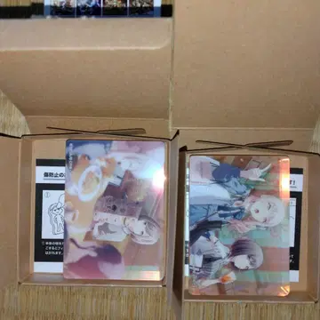 프로세카 노블 아트 vol.59 아키야마 미즈키 시노노메 에나
