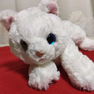 선 레몬 무릎 고양이 오드 아이 S 봉제 인형