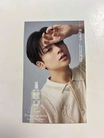 LALINE x ONENONLY Rei 원 엔 클리어 트레이딩 카드