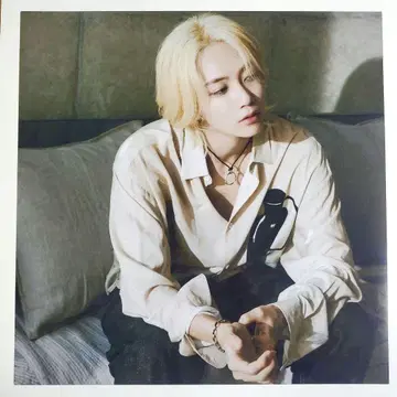 SEVENTEEN attacca 정한 레이어 카드 포스터