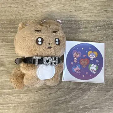 txt 포바투 태현