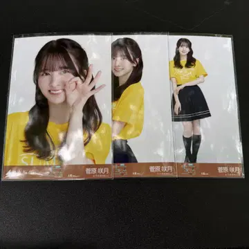 노기자카46 브로마이드 라이브 티셔츠 오사카 스가하라 사츠키