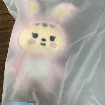 세븐틴 정한