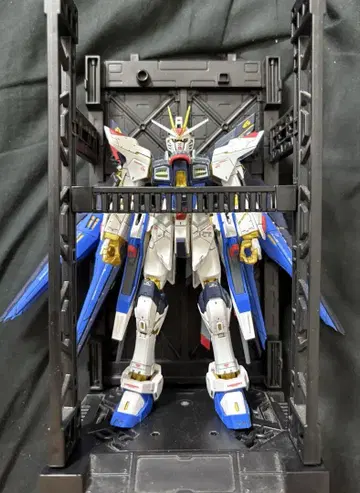 RG 스트라이크 프리덤