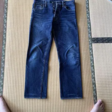 바가스 플러스 LOT770 W31