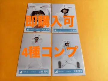 오노 마나미 히나타자카46 동물 인형옷 랜덤 브로마이드 4종 컴프