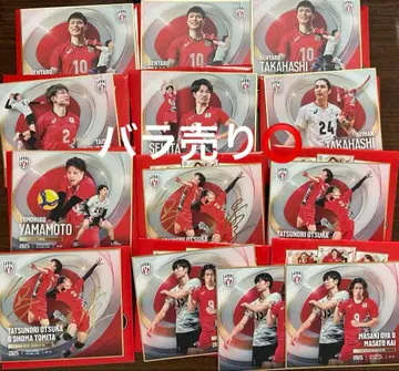 배구 남자 일본 대표 2025 공식 트레이딩 미니 색지 묶음 판매 14장