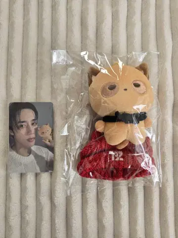 Theboyz 선우 봉제 인형 10cm 인형