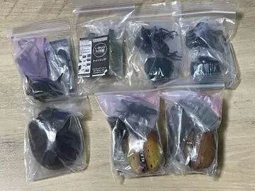 6개 세트 생물대도감 어드밴스 코끼리 가부토 헤라클레스 장수풍뎅이