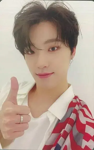 SEVENTEEN CARAT판 DINO 춤추듯 떨어지는 꽃잎
