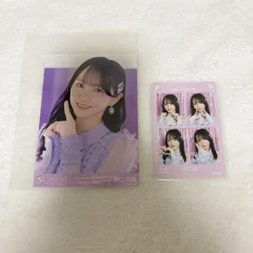 =LOVE 이코라브 노구치 이오리 브로마이드 4컷