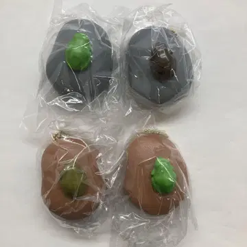 개구리 소리 총 4종 33250718J08S