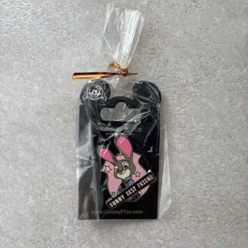 디즈니 주디