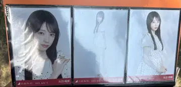 노기자카46 브로마이드 도트 한여름 전국 투어 3종 컴프 야다 모에카