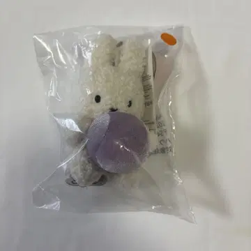 네덜란드 파빌리온 코몽라운드 미피