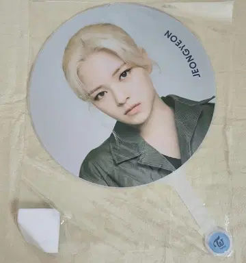 TWICE World in A Day 공식 부채 정연