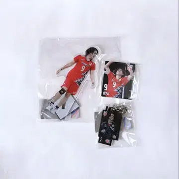 배구 남자 모바 가챠 오오야마 마키