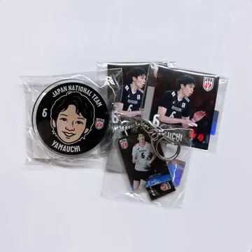 배구 남자 모바 가챠 야마우치 아키히로
