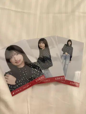 이오키 마오 브로마이드 도트 사복 컴프
