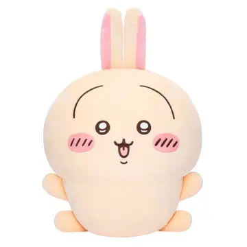 치이카와 토끼가 가득한 복권 A상 점프