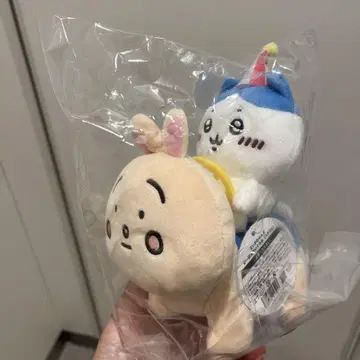 치이카와 치이카와 랜드 피포포 봉제 인형 하치와레