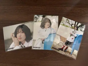 BUDDiiS 브로마이드 #029 SHOOT 모리 슈토