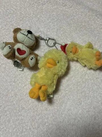 수지 키링