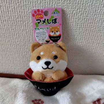 여행하는 마메시바 아오모리 버전 센베이 지루