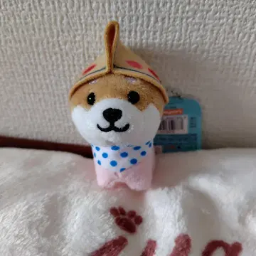 여행하는 콩 아오모리 버전 도약자