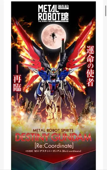 METAL ROBOT 데스티니 건담 [Re:Coordinate]